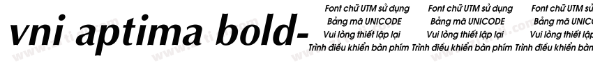 vni aptima bold字体转换